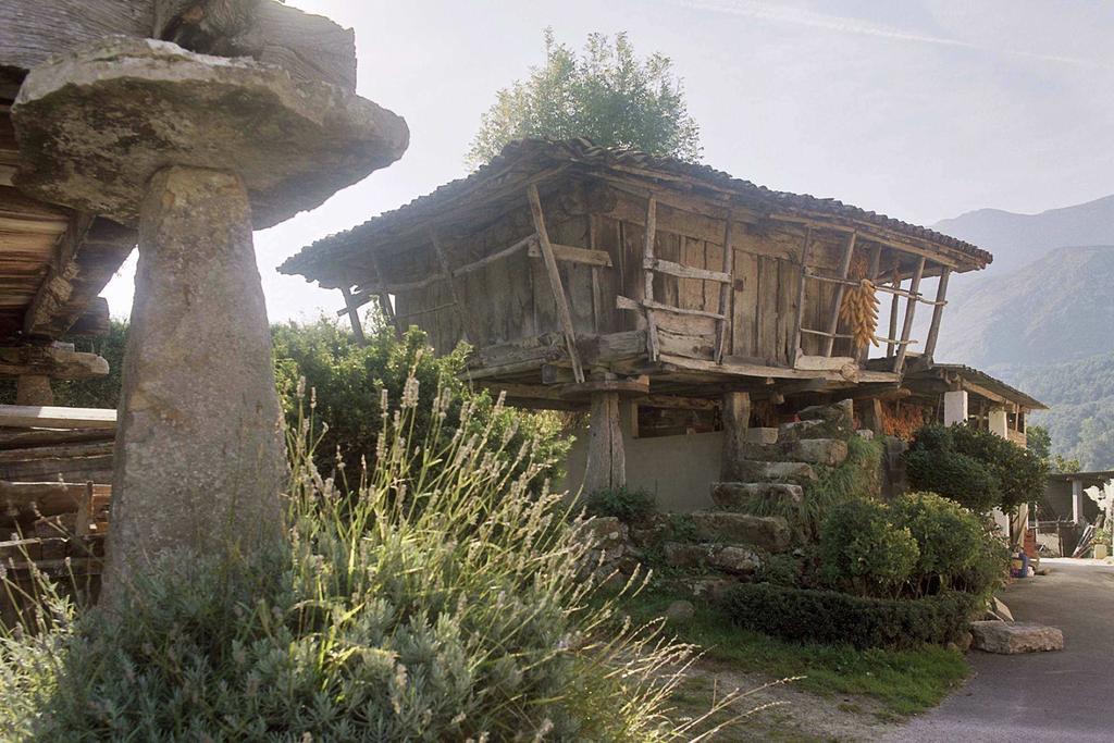 Hotel El Babu Caravia Zewnętrze zdjęcie